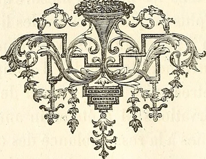 An illustration from La physionomie compar; traitde l'expression dans l'homme, dans la nature, et dans l'art., 1885, leaf 20