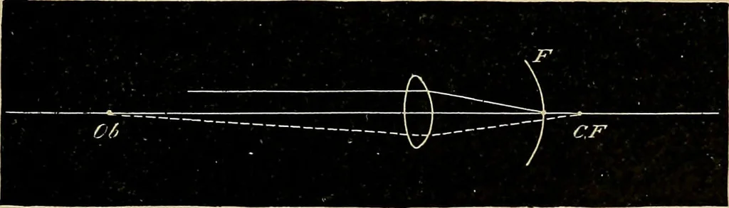 An illustration from Diseases of the eye / by Edward Nettleship ; with a supplement on examinations for color-blindness and acuity of vision and hearing, by William Thomson ; with 5 colored plates and 192 engravings., 1900, leaf 341