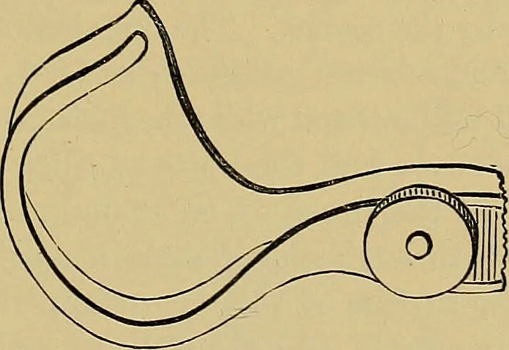 An illustration from Diseases of the eye / by Edward Nettleship ; with a supplement on examinations for color-blindness and acuity of vision and hearing, by William Thomson ; with 5 colored plates and 192 engravings., 1900, leaf 407