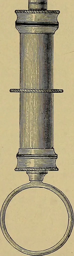 An illustration from Diseases of the eye / by Edward Nettleship ; with a supplement on examinations for color-blindness and acuity of vision and hearing, by William Thomson ; with 5 colored plates and 192 engravings., 1900, leaf 421