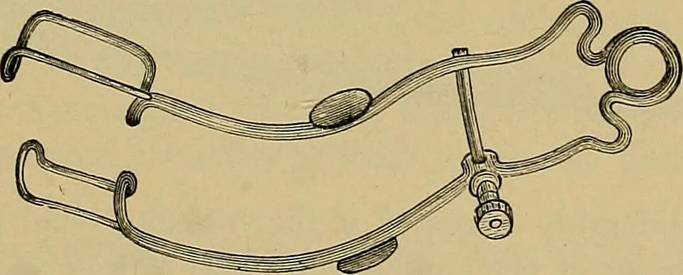 An illustration from Diseases of the eye / by Edward Nettleship ; with a supplement on examinations for color-blindness and acuity of vision and hearing, by William Thomson ; with 5 colored plates and 192 engravings., 1900, leaf 423
