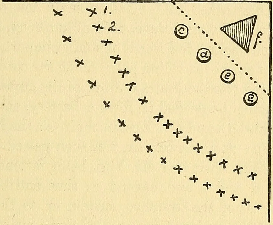 An illustration from Preliminary report of the Commission appointed by the University of Pennsylvania to investigate modern spiritualism : in accordance with the request of the late Henry Seybert., 1887, leaf 89