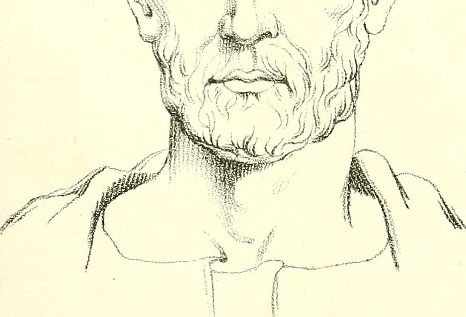An illustration from Grundzüge der Phrenologie, oder, Anleitung zum Studium dieser Wissenschaft : mit Berücksichtigung der neueren Forschungen auf dem Gebiete der Physiologie und Psychologie / von R.R. Noel., 1847, leaf 617