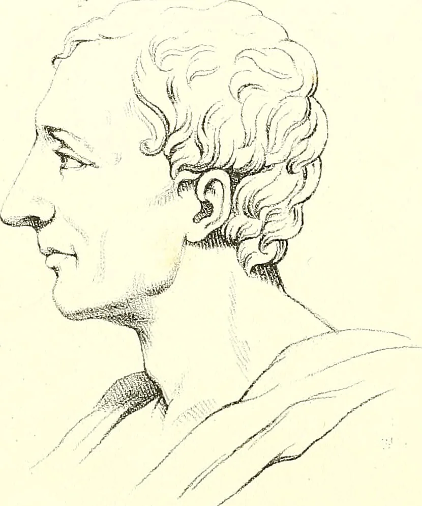An illustration from Grundzüge der Phrenologie, oder, Anleitung zum Studium dieser Wissenschaft : mit Berücksichtigung der neueren Forschungen auf dem Gebiete der Physiologie und Psychologie / von R.R. Noel., 1847, leaf 617