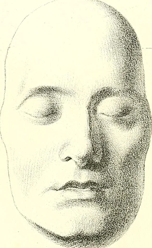 An illustration from Grundzüge der Phrenologie, oder, Anleitung zum Studium dieser Wissenschaft : mit Berücksichtigung der neueren Forschungen auf dem Gebiete der Physiologie und Psychologie / von R.R. Noel., 1847, leaf 621