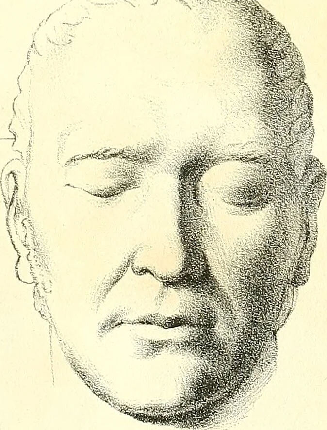 An illustration from Grundzüge der Phrenologie, oder, Anleitung zum Studium dieser Wissenschaft : mit Berücksichtigung der neueren Forschungen auf dem Gebiete der Physiologie und Psychologie / von R.R. Noel., 1847, leaf 623