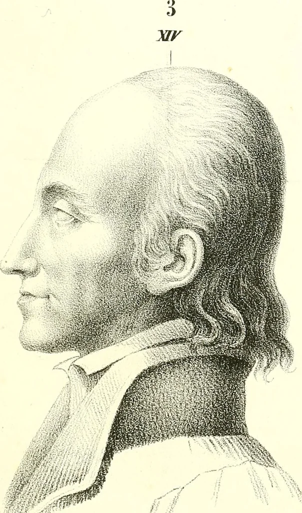 An illustration from Grundzüge der Phrenologie, oder, Anleitung zum Studium dieser Wissenschaft : mit Berücksichtigung der neueren Forschungen auf dem Gebiete der Physiologie und Psychologie / von R.R. Noel., 1847, leaf 625