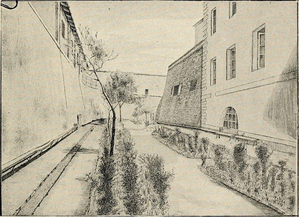 An illustration from Les criminels : ude concernant 859 condamn / par le Dr. Charles Perrier., 1900, leaf 411