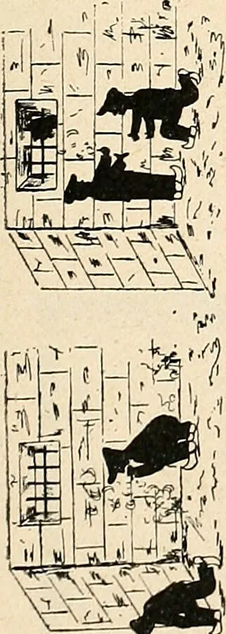 An illustration from Les criminels : ude concernant 859 condamn / par le Dr. Charles Perrier., 1900, leaf 459