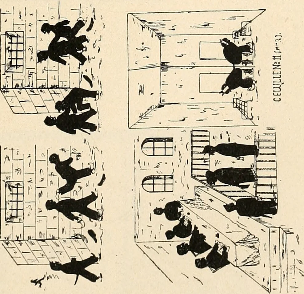 An illustration from Les criminels : ude concernant 859 condamn / par le Dr. Charles Perrier., 1900, leaf 459