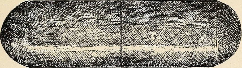 An illustration from Les criminels : ude concernant 859 condamn / par le Dr. Charles Perrier., 1900, leaf 487