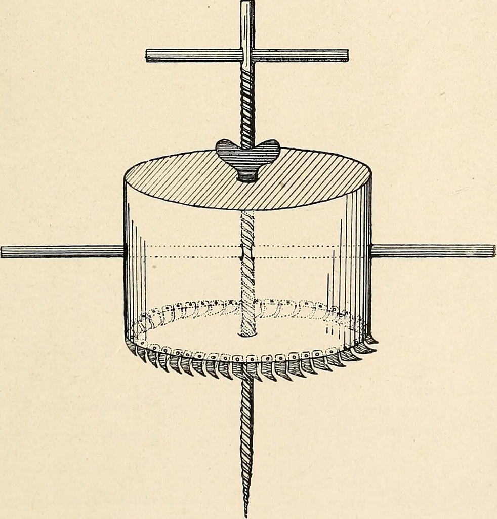 An illustration from Les criminels : ude concernant 859 condamn / par le Dr. Charles Perrier., 1900, leaf 491