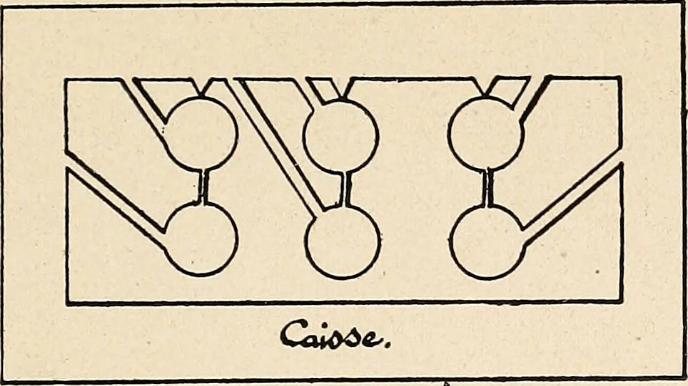 An illustration from Les criminels : ude concernant 859 condamn / par le Dr. Charles Perrier., 1900, leaf 493