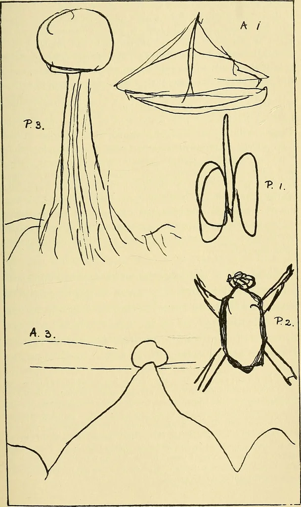 An illustration from Studies in psychical research / by Frank Podmore., 1897, leaf 223