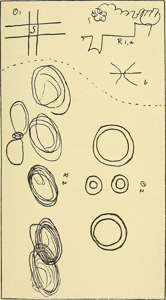 An illustration from Studies in psychical research / by Frank Podmore., 1897, leaf 241