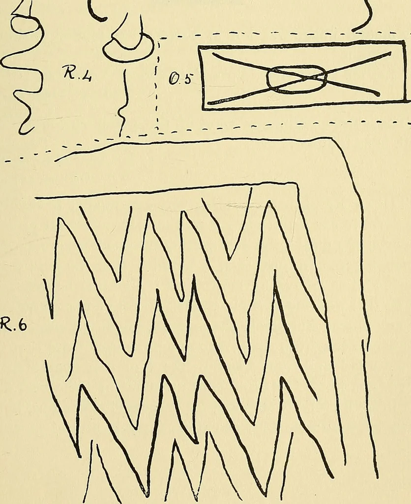 An illustration from Studies in psychical research / by Frank Podmore., 1897, leaf 243