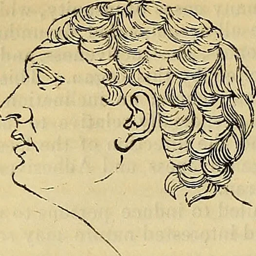 An illustration from The principles of phrenology / by Sidney Smith., 1838, leaf 102