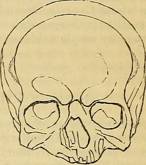 An illustration from The principles of phrenology / by Sidney Smith., 1838, leaf 144