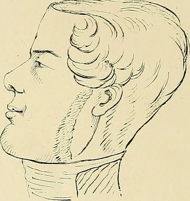 An illustration from The principles of phrenology / by Sidney Smith., 1838, leaf 240