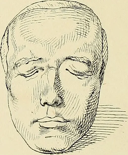 An illustration from The principles of phrenology / by Sidney Smith., 1838, leaf 240