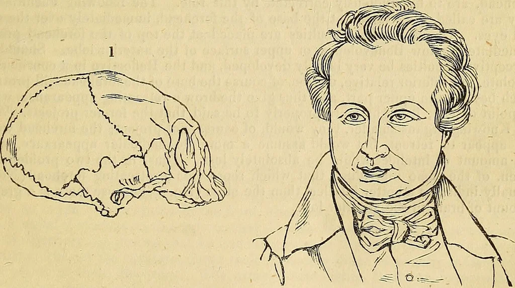 An illustration from The principles of phrenology / by Sidney Smith., 1838, leaf 89