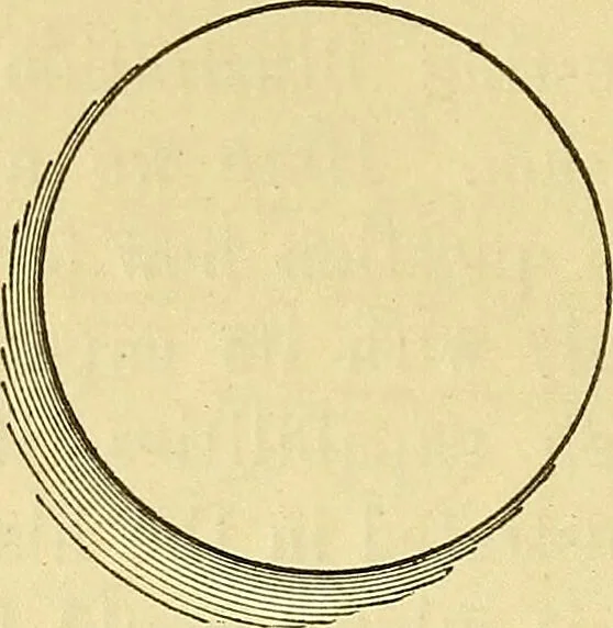 An illustration from Illusions: a psychological study., 1888, leaf 100