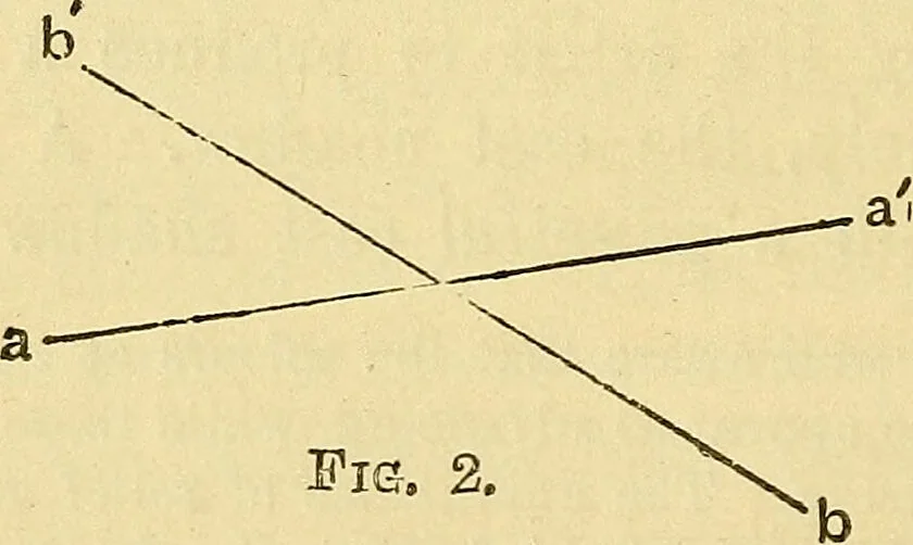 An illustration from Illusions: a psychological study., 1888, leaf 100