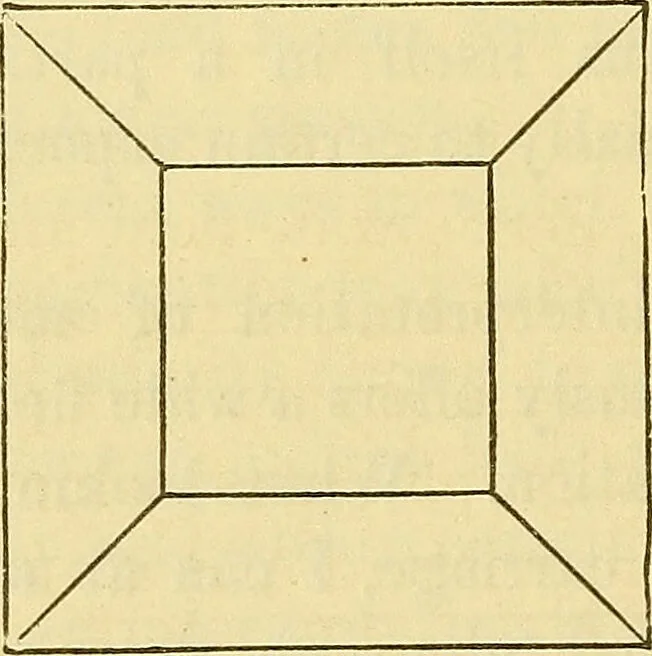 An illustration from Illusions: a psychological study., 1888, leaf 118