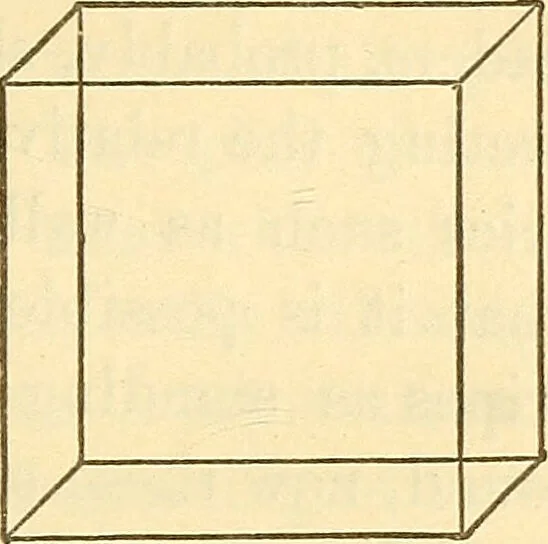 An illustration from Illusions: a psychological study., 1888, leaf 119