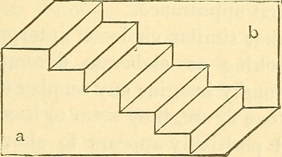 An illustration from Illusions: a psychological study., 1888, leaf 119