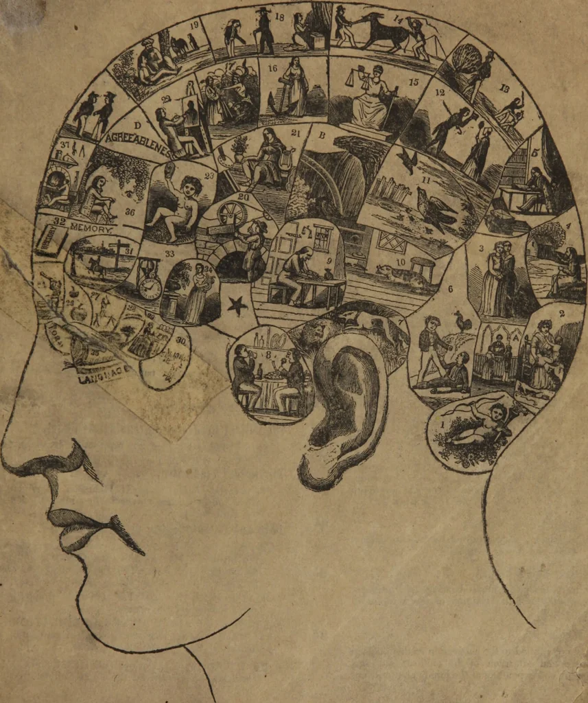 An illustration from Synopsis of phrenology and physiology : comprising a condensed description of the functions of the body and mind : also, indicating the relative development of these organs as applied to the person examined : with references to Fowler's phrenology, also, the additional improvements and discoveries made by the aid of magnetism and neurology / by L.N. Fowler., 1846, leaf 1