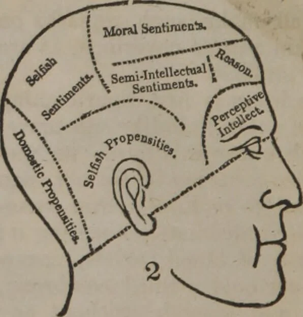 An illustration from Synopsis of phrenology and physiology : comprising a condensed description of the functions of the body and mind : also, indicating the relative development of these organs as applied to the person examined : with references to Fowler's phrenology, also, the additional improvements and discoveries made by the aid of magnetism and neurology / by L.N. Fowler., 1846, leaf 10