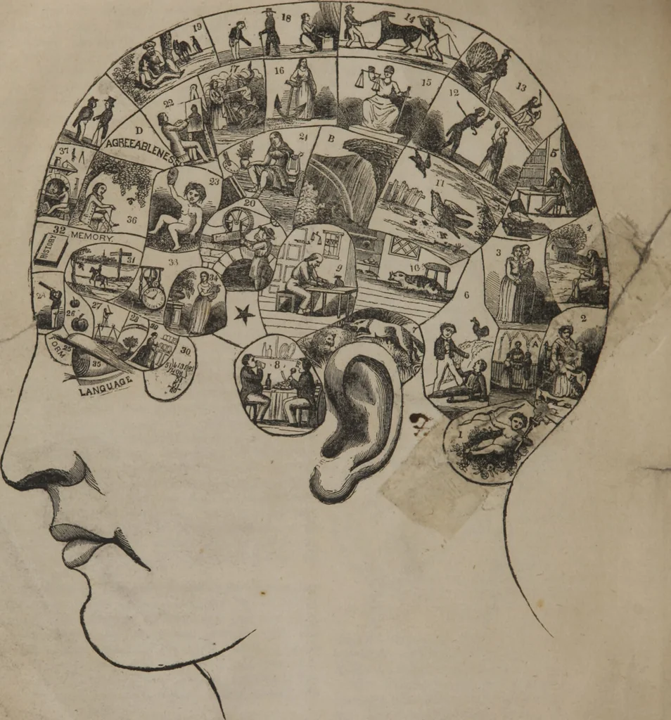 An illustration from Synopsis of phrenology and physiology : comprising a condensed description of the functions of the body and mind : also, indicating the relative development of these organs as applied to the person examined : with references to Fowler's phrenology, also, the additional improvements and discoveries made by the aid of magnetism and neurology / by L.N. Fowler., 1846, leaf 12