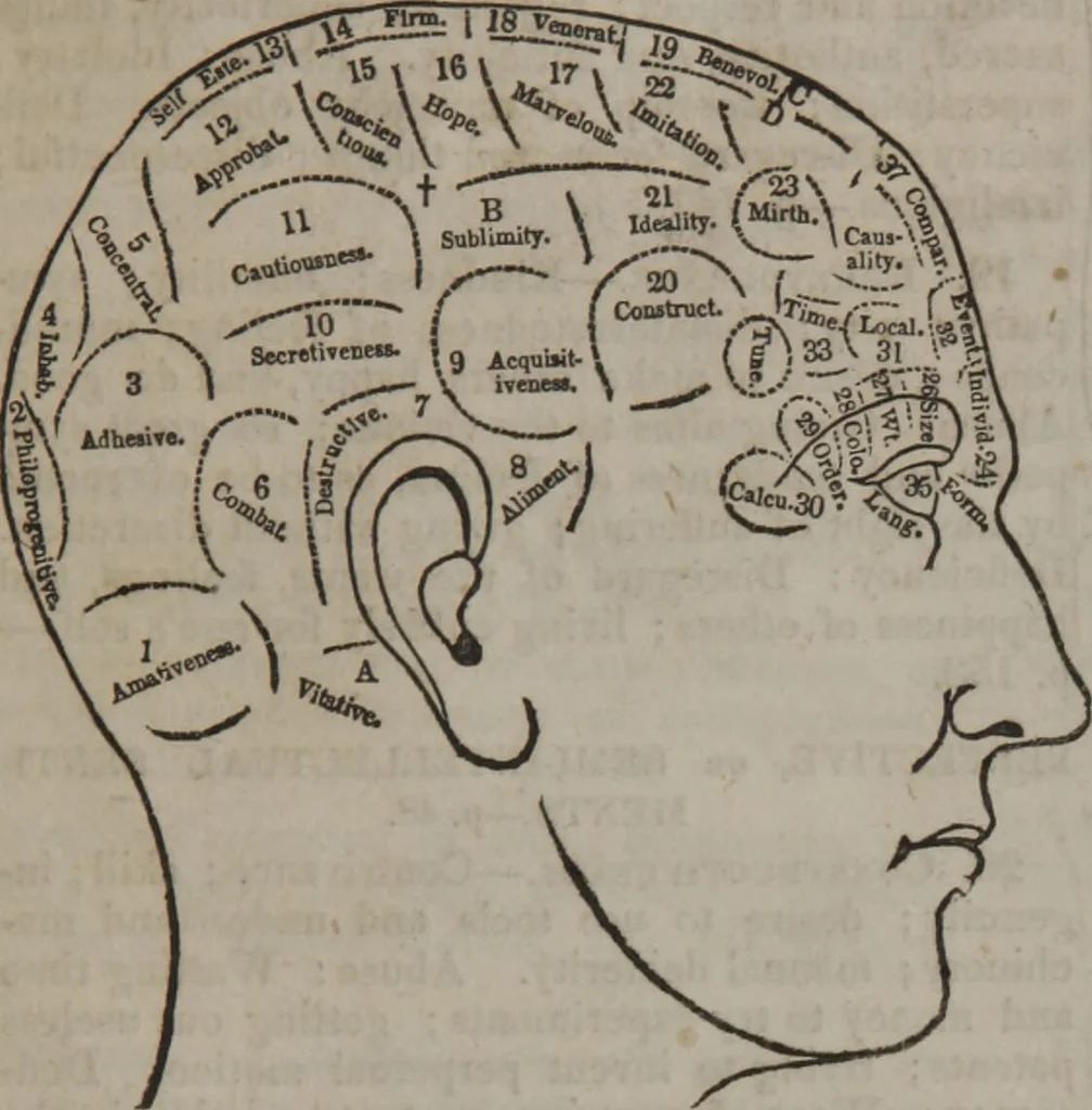 An illustration from Synopsis of phrenology and physiology : comprising a condensed description of the functions of the body and mind : also, indicating the relative development of these organs as applied to the person examined : with references to Fowler's phrenology, also, the additional improvements and discoveries made by the aid of magnetism and neurology / by L.N. Fowler., 1846, leaf 13