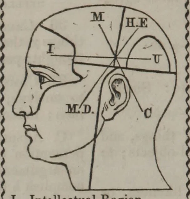 An illustration from Synopsis of phrenology and physiology : comprising a condensed description of the functions of the body and mind : also, indicating the relative development of these organs as applied to the person examined : with references to Fowler's phrenology, also, the additional improvements and discoveries made by the aid of magnetism and neurology / by L.N. Fowler., 1846, leaf 16