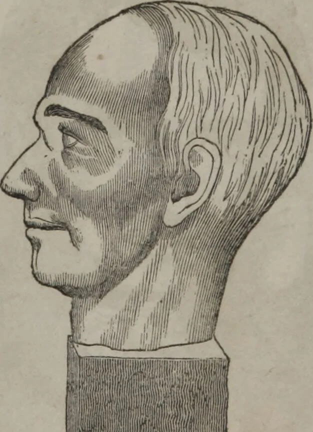 An illustration from Synopsis of phrenology and physiology : comprising a condensed description of the functions of the body and mind : also, indicating the relative development of these organs as applied to the person examined : with references to Fowler's phrenology, also, the additional improvements and discoveries made by the aid of magnetism and neurology / by L.N. Fowler., 1846, leaf 23