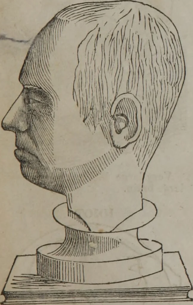 An illustration from Synopsis of phrenology and physiology : comprising a condensed description of the functions of the body and mind : also, indicating the relative development of these organs as applied to the person examined : with references to Fowler's phrenology, also, the additional improvements and discoveries made by the aid of magnetism and neurology / by L.N. Fowler., 1846, leaf 25