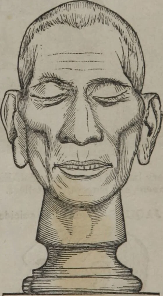 An illustration from Synopsis of phrenology and physiology : comprising a condensed description of the functions of the body and mind : also, indicating the relative development of these organs as applied to the person examined : with references to Fowler's phrenology, also, the additional improvements and discoveries made by the aid of magnetism and neurology / by L.N. Fowler., 1846, leaf 25