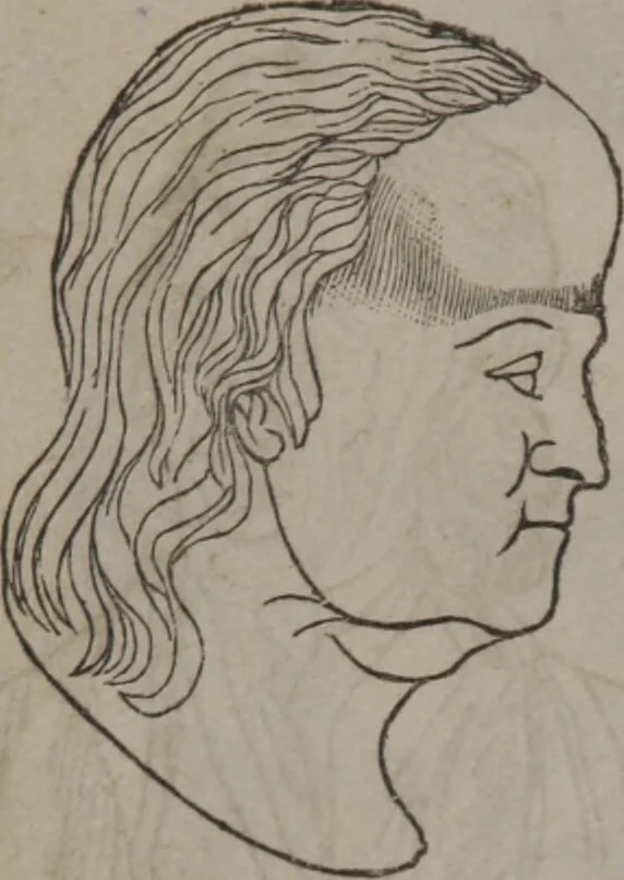An illustration from Synopsis of phrenology and physiology : comprising a condensed description of the functions of the body and mind : also, indicating the relative development of these organs as applied to the person examined : with references to Fowler's phrenology, also, the additional improvements and discoveries made by the aid of magnetism and neurology / by L.N. Fowler., 1846, leaf 26