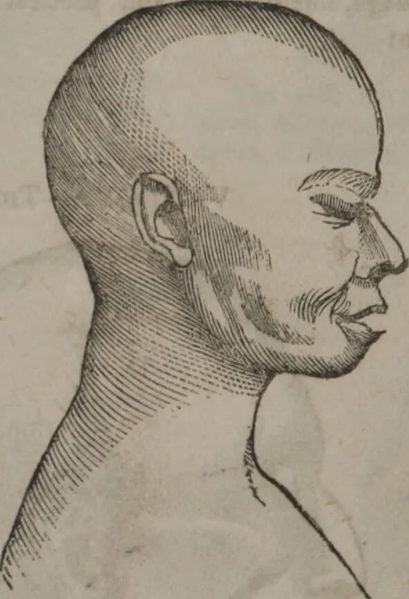An illustration from Synopsis of phrenology and physiology : comprising a condensed description of the functions of the body and mind : also, indicating the relative development of these organs as applied to the person examined : with references to Fowler's phrenology, also, the additional improvements and discoveries made by the aid of magnetism and neurology / by L.N. Fowler., 1846, leaf 26