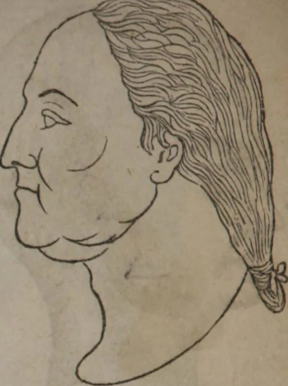 An illustration from Synopsis of phrenology and physiology : comprising a condensed description of the functions of the body and mind : also, indicating the relative development of these organs as applied to the person examined : with references to Fowler's phrenology, also, the additional improvements and discoveries made by the aid of magnetism and neurology / by L.N. Fowler., 1846, leaf 26