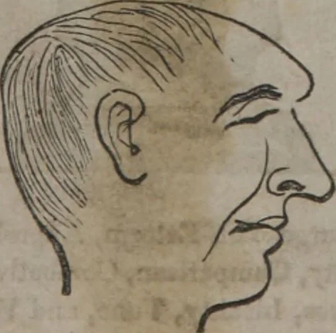 An illustration from Synopsis of phrenology and physiology : comprising a condensed description of the functions of the body and mind : also, indicating the relative development of these organs as applied to the person examined : with references to Fowler's phrenology, also, the additional improvements and discoveries made by the aid of magnetism and neurology / by L.N. Fowler., 1846, leaf 26