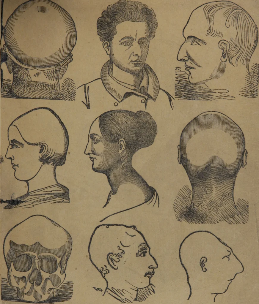 An illustration from Synopsis of phrenology and physiology : comprising a condensed description of the functions of the body and mind : also, indicating the relative development of these organs as applied to the person examined : with references to Fowler's phrenology, also, the additional improvements and discoveries made by the aid of magnetism and neurology / by L.N. Fowler., 1846, leaf 27