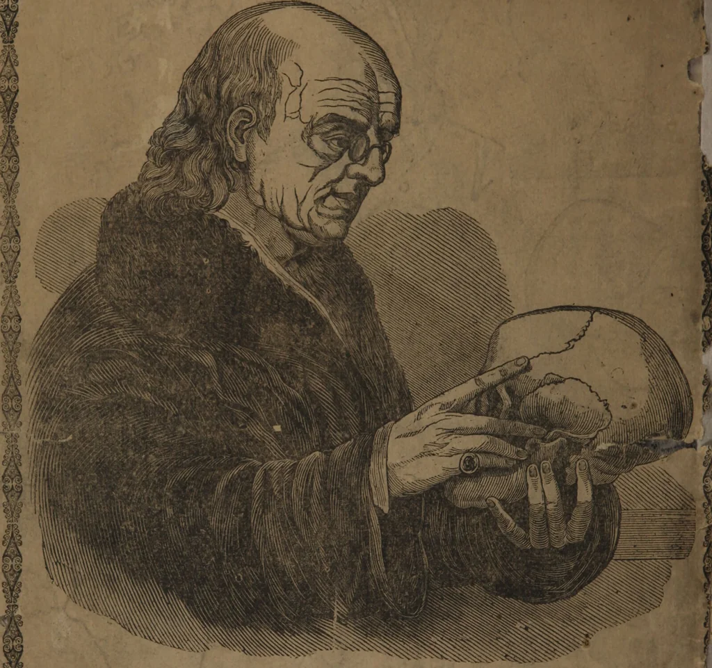 An illustration from Synopsis of phrenology and physiology : comprising a condensed description of the functions of the body and mind : also, indicating the relative development of these organs as applied to the person examined : with references to Fowler's phrenology, also, the additional improvements and discoveries made by the aid of magnetism and neurology / by L.N. Fowler., 1846, leaf 28