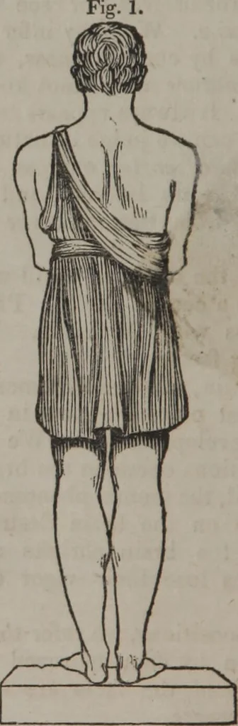 An illustration from Synopsis of phrenology and physiology : comprising a condensed description of the functions of the body and mind : also, indicating the relative development of these organs as applied to the person examined : with references to Fowler's phrenology, also, the additional improvements and discoveries made by the aid of magnetism and neurology / by L.N. Fowler., 1846, leaf 6