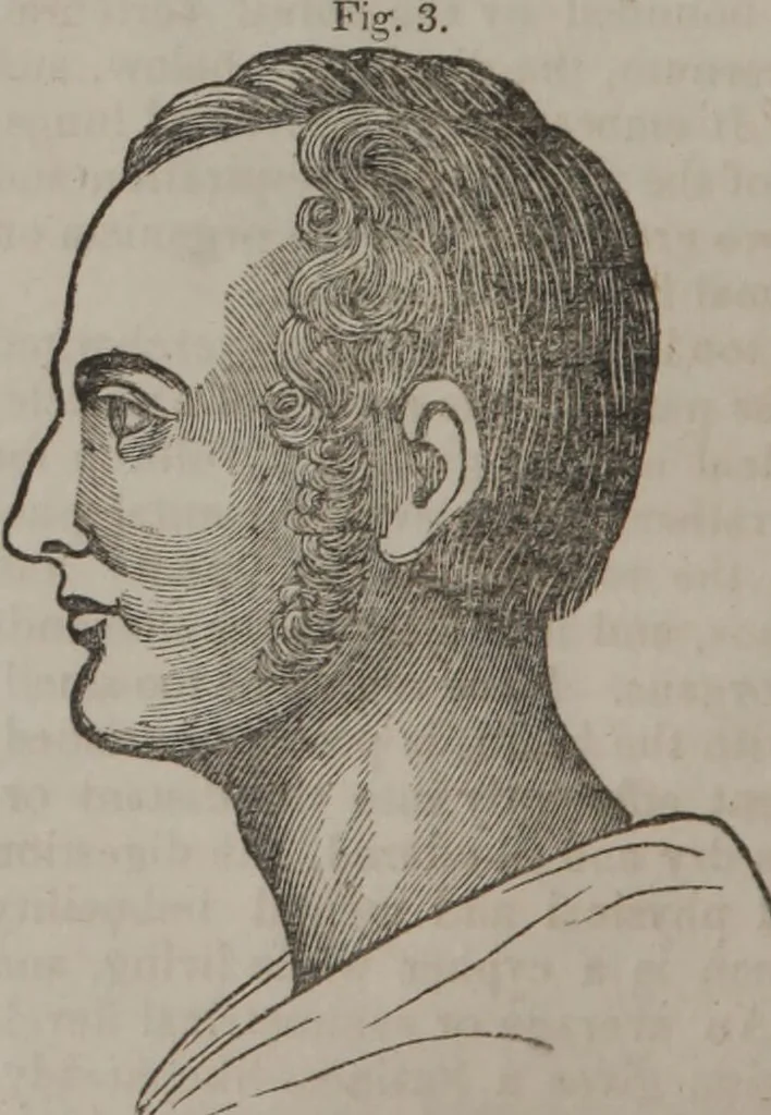 An illustration from Synopsis of phrenology and physiology : comprising a condensed description of the functions of the body and mind : also, indicating the relative development of these organs as applied to the person examined : with references to Fowler's phrenology, also, the additional improvements and discoveries made by the aid of magnetism and neurology / by L.N. Fowler., 1846, leaf 8