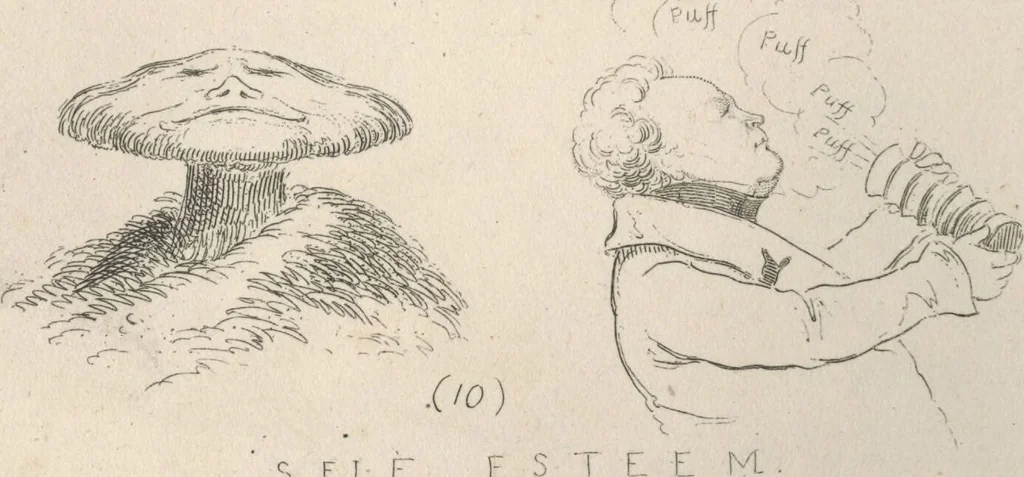 An illustration from Phrenology exemplified and illustrated, with upwards of forty etchings / by D.C. Johnston., 1837, leaf 26