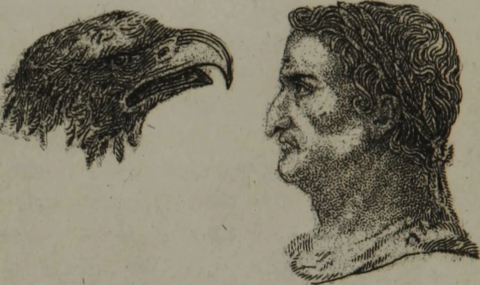 An illustration from The pocket Lavater, or, The science of physiognomy : to which is added, An inquiry into the analogy existing between brute and human physiognomy, from the Italian of Porta., 1832, leaf 138