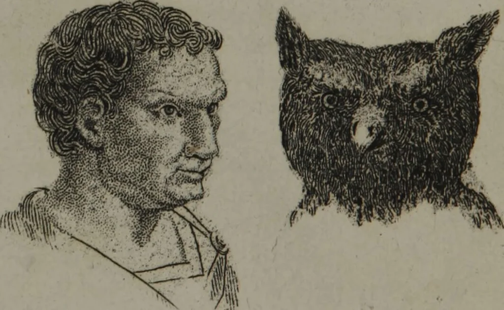 An illustration from The pocket Lavater, or, The science of physiognomy : to which is added, An inquiry into the analogy existing between brute and human physiognomy, from the Italian of Porta., 1832, leaf 138