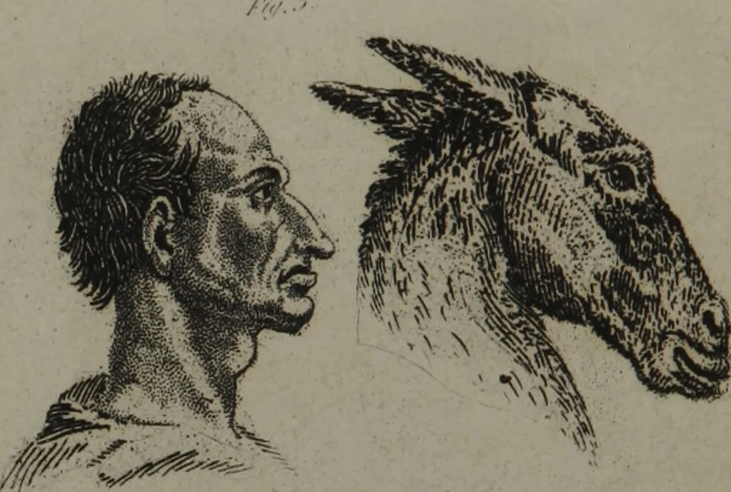 An illustration from The pocket Lavater, or, The science of physiognomy : to which is added, An inquiry into the analogy existing between brute and human physiognomy, from the Italian of Porta., 1832, leaf 150